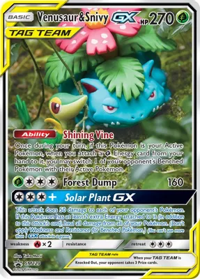 Venusaur & Snivy GX - SM229 from SM Promos