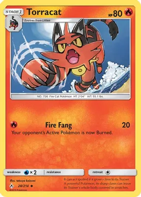 Torracat from SM - Unbroken Bonds
