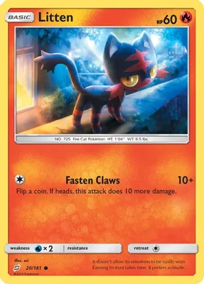 Litten from SM - Team Up