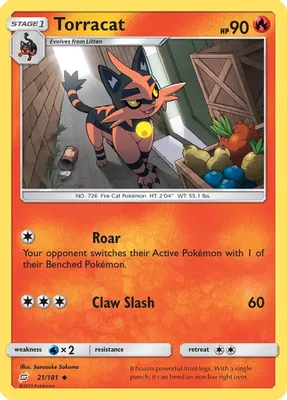 Torracat from SM - Team Up