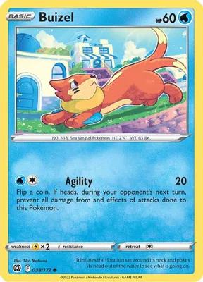 Buizel from SWSH09: Brilliant Stars