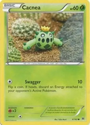 Cacnea from XY - BREAKthrough