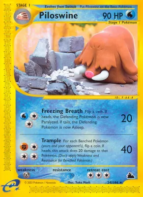 Piloswine (24) from Skyridge