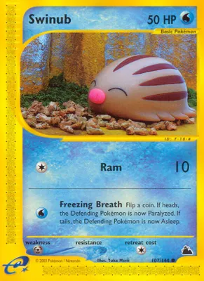 Swinub (107) from Skyridge