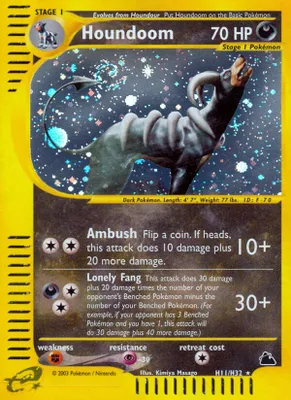 Houndoom (H11) from Skyridge