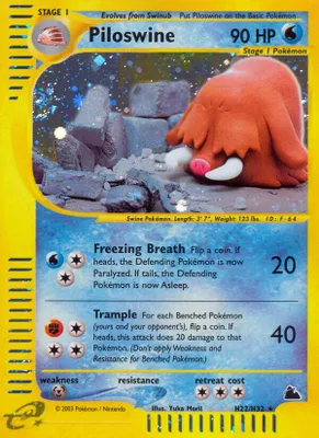 Piloswine (H22) from Skyridge