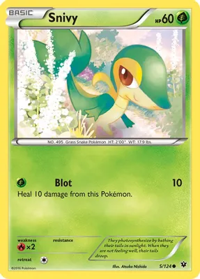 Snivy from XY - Fates Collide