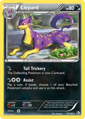 Liepard from Boundaries Crossed