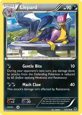 Liepard from XY - Phantom Forces