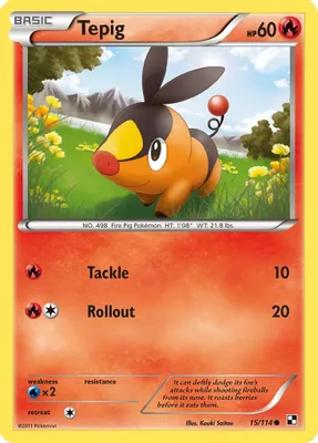 Tepig (15) from Black and White