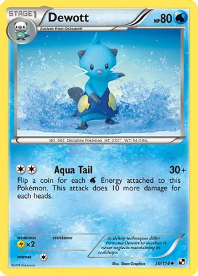 Dewott (30) from Black and White