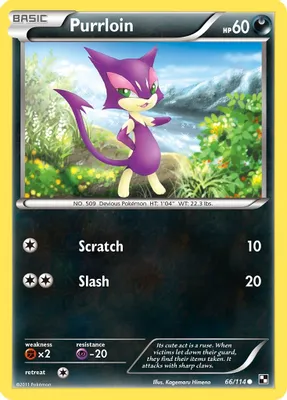 Purrloin from Black and White