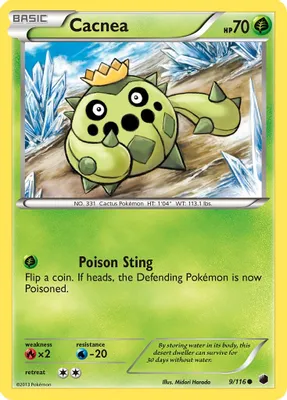 Cacnea from Plasma Freeze