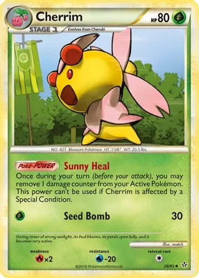 Cherrim from Unleashed
