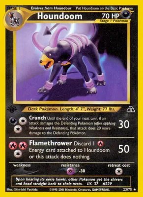 Houndoom (23) from Neo Discovery