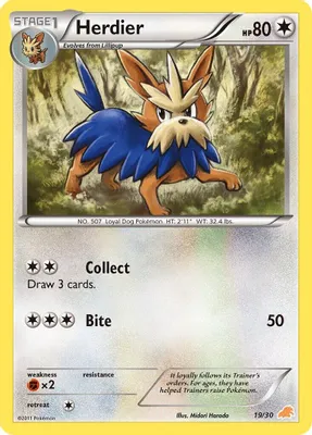Herdier from BW Trainer Kit: Excadrill & Zoroark
