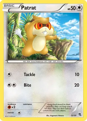 Patrat (#12) from BW Trainer Kit: Excadrill & Zoroark