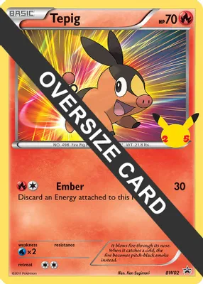Tepig from First Partner Pack