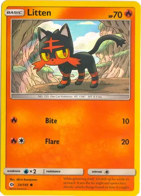 Litten - 24/149 (Water Web Holo) from Miscellaneous Cards & Products