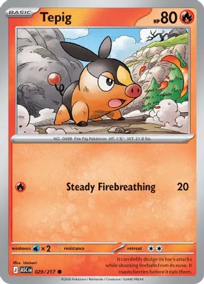 Tepig from ME: Ascended Heroes