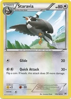 Staravia from XY - BREAKthrough