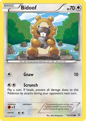 Bidoof from XY - Primal Clash