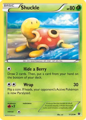 Shuckle from XY - Fates Collide