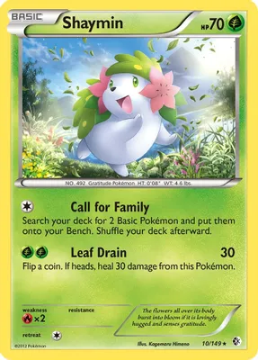 Shaymin from Boundaries Crossed