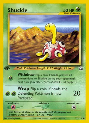 Shuckle from Neo Genesis