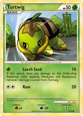 Turtwig from Unleashed