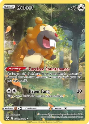 Bidoof from SWSH: Crown Zenith: Galarian Gallery