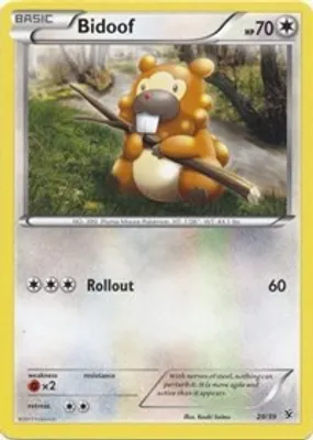 Bidoof from Kalos Starter Set