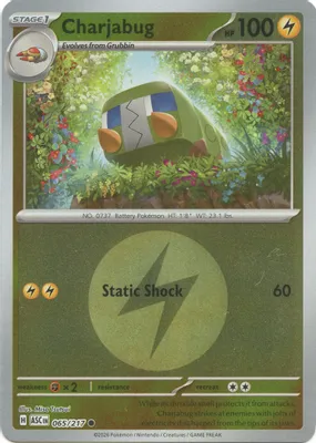 Charjabug (Energy Symbol Pattern) from ME: Ascended Heroes